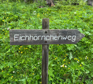 Lenzerheide Wandern 