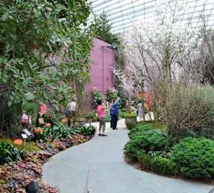 Gardens by the Bay