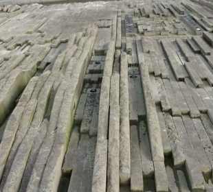 Lustgarten - Gartenanlage