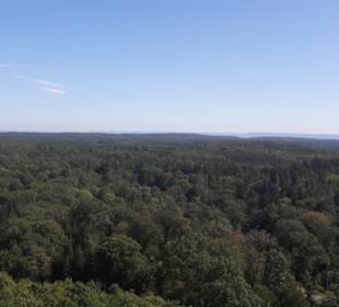 Blick von der obersten Plattform