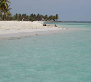 Saona einsamer Strand