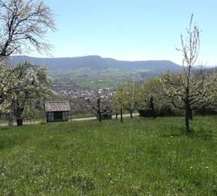 Wanderung Florianrunde
