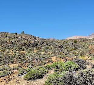 Steilküste Los Gigantes