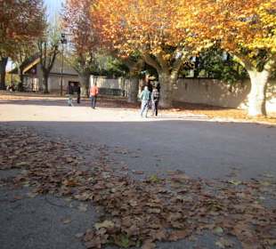 Altstadt Lauterbourg Bouleplatz