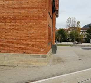 Gustav Werner Forum