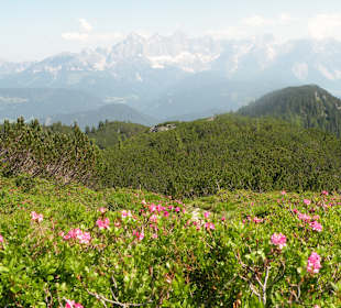Wandern Schladming