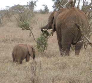 Mama paßt immer auf