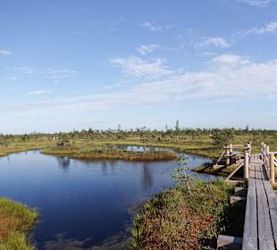 Bohlenweg durchs Kemeru-Moor