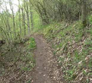 Premiumwanderweg Hochgebürzelt
