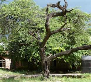 hat schon seinen Reiz