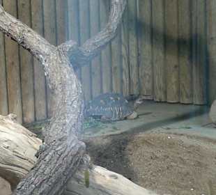 Zoo Brno