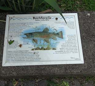 Fischlehrpfad Neu-Ulm