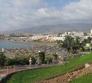 Playa Torviscas