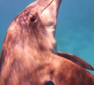 Da bin ich frei und glücklich...