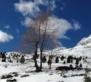 Skigebiet Matrei in Osttirol