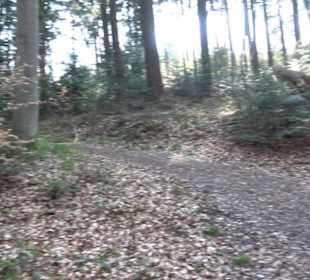 Wanderung Florianrunde