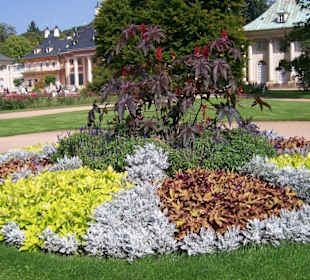 Blumenpracht im Schloßpark