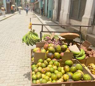 Stadtrundgang Varadero