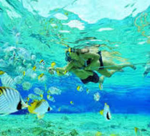 Snorkeling at Gili island