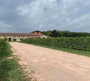 Wandern Bardolino