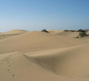 Wydmy w Maspalomas