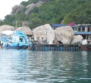Koh Tao