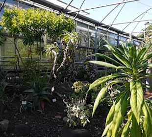 Botanischer Garten 