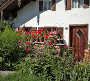 Morgenspaziergang über die Fraueninsel