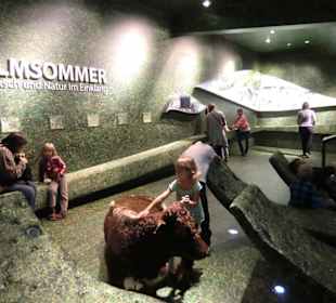 Eins der Schauräume