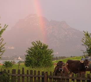 Wandern Rieden am Forggensee