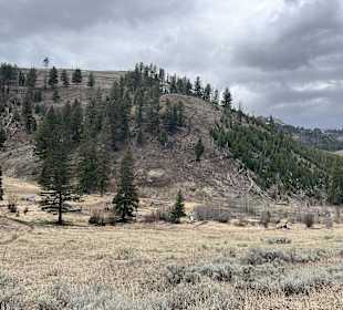 Yellowstone Nationalpark