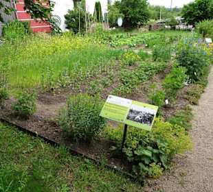 Impressionen aus dem Garten des Bauernmuseums