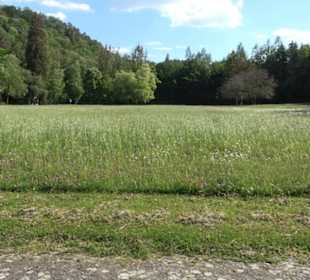 Kurpark Bad Niedernau