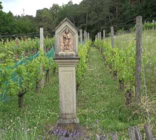 Schutzgebiet Spitzberg, Pfaffenberg