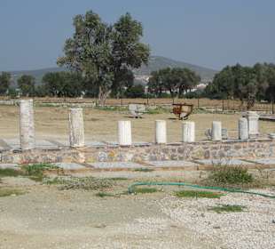 Säulen am Museumsgebäude
