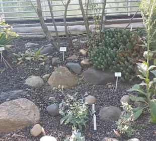 Botanischer Garten 