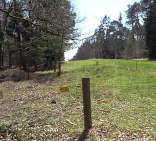 Waldkulturerbe Neuweiler Viehweide
