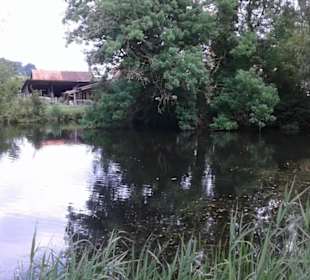 Der Chäsiweiher bei trübem Wetter