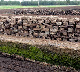 Torfstich im Campemoor