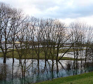 Wieder am Rhein angelangt