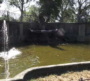Altstadt - Rund um das Terrassenufer
