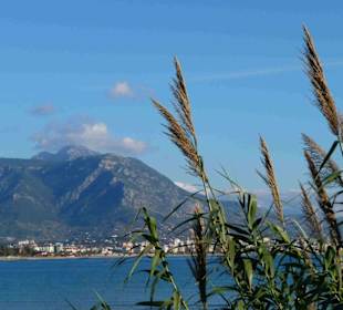 Blick auf die Berge vom Hafen aus