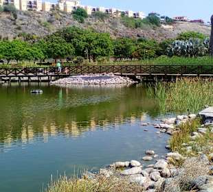 Parque del Sur in Maspalomas