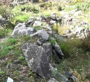 Alpinum