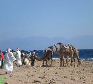 Auf dem Weg zum Blue Hole