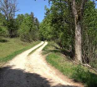 Premiumwanderweg Hochgehschätzt