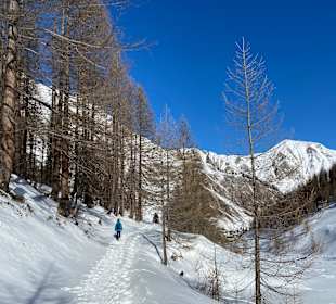Wandern Samnaun