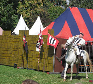 Mittelalterliches Spectaculum 