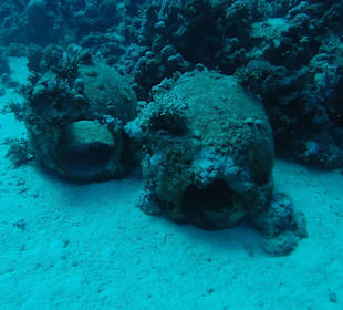 Amphoren - mit Zodiac TG