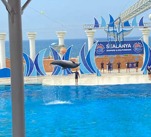 Sealanya Delfinpark